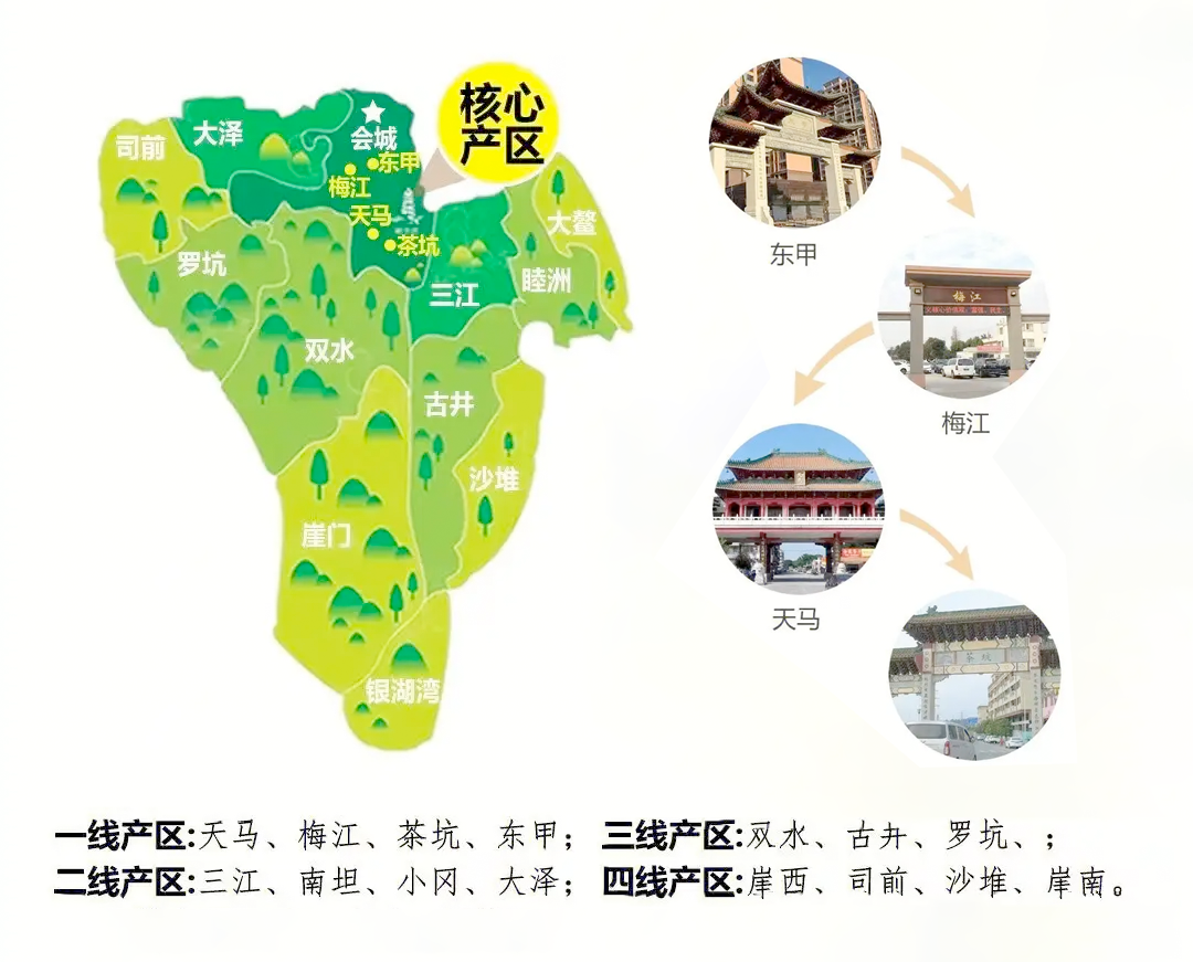 新会陈皮核心产区地图